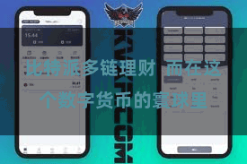 比特派多链理财 而在这个数字货币的寰球里