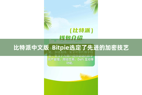 比特派中文版  Bitpie选定了先进的加密技艺