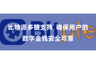 比特派多链支持  确保用户的数字金钱安全可靠