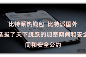 比特派热钱包  比特派国外钱包选拔了天下跳跃的加密期间和安全公约
