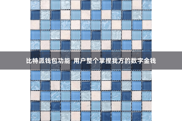 比特派钱包功能  用户整个掌捏我方的数字金钱