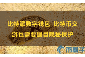 比特派数字钱包  比特币交游也需要瞩目隐秘保护